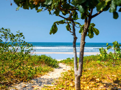 trail-to-beach-1020Wx580H